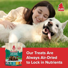 PLATO Real Strips Duck with brown rice supports digestion