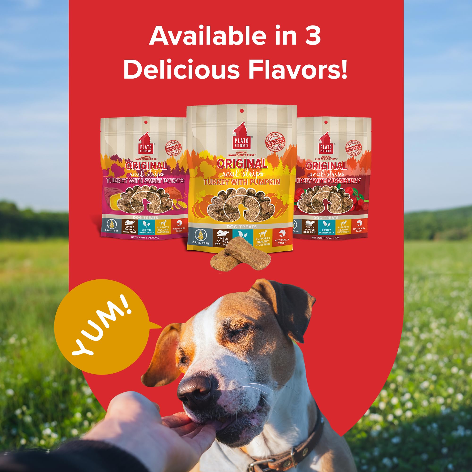 PLATO Real Strips grain-free formula highlighted beside natural ingredients.