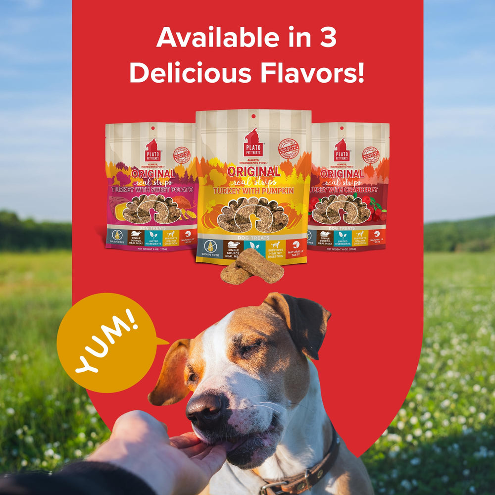 PLATO Real Strips grain-free formula highlighted beside natural ingredients.