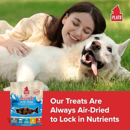 PLATO Real Strips Salmon bars broken for small dogs or training.
