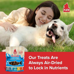 PLATO Real Strips Salmon bars broken for small dogs or training.