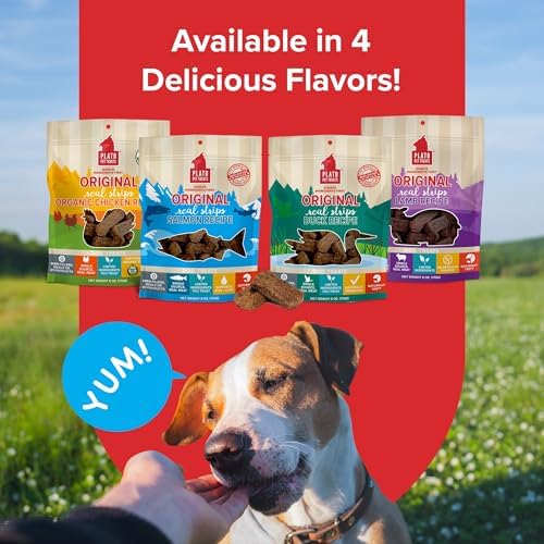 PLATO Real Strips Salmon shown as grain-free snack with natural ingredients.