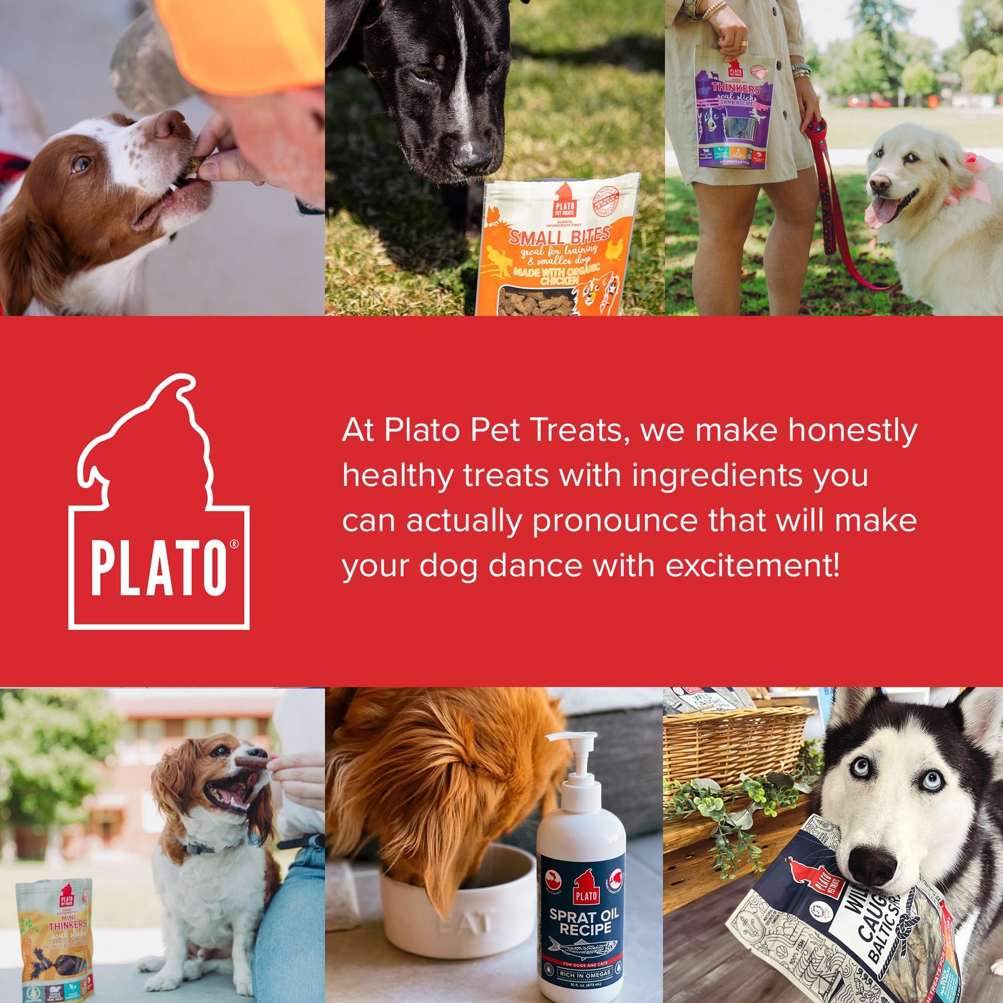 PLATO Salmon Thinkers Stick air-dried process preserves nutrients and flavor