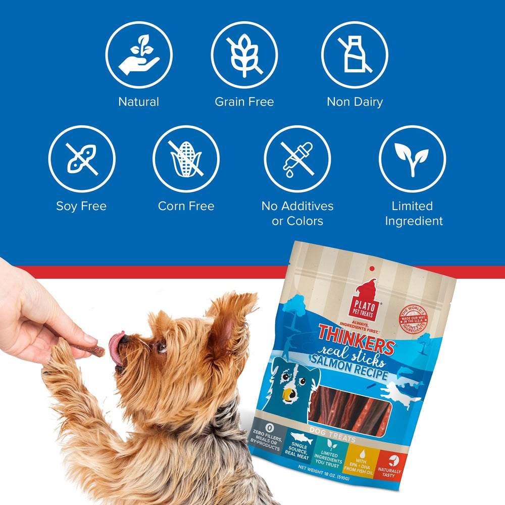 PLATO Salmon Thinkers Stick dog chewing demonstrates long-lasting chew satisfaction