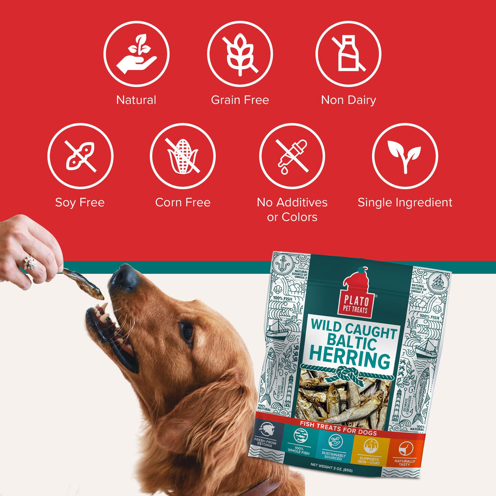 PLATO skin and coat health concept with digestible, tasty treat appeal.