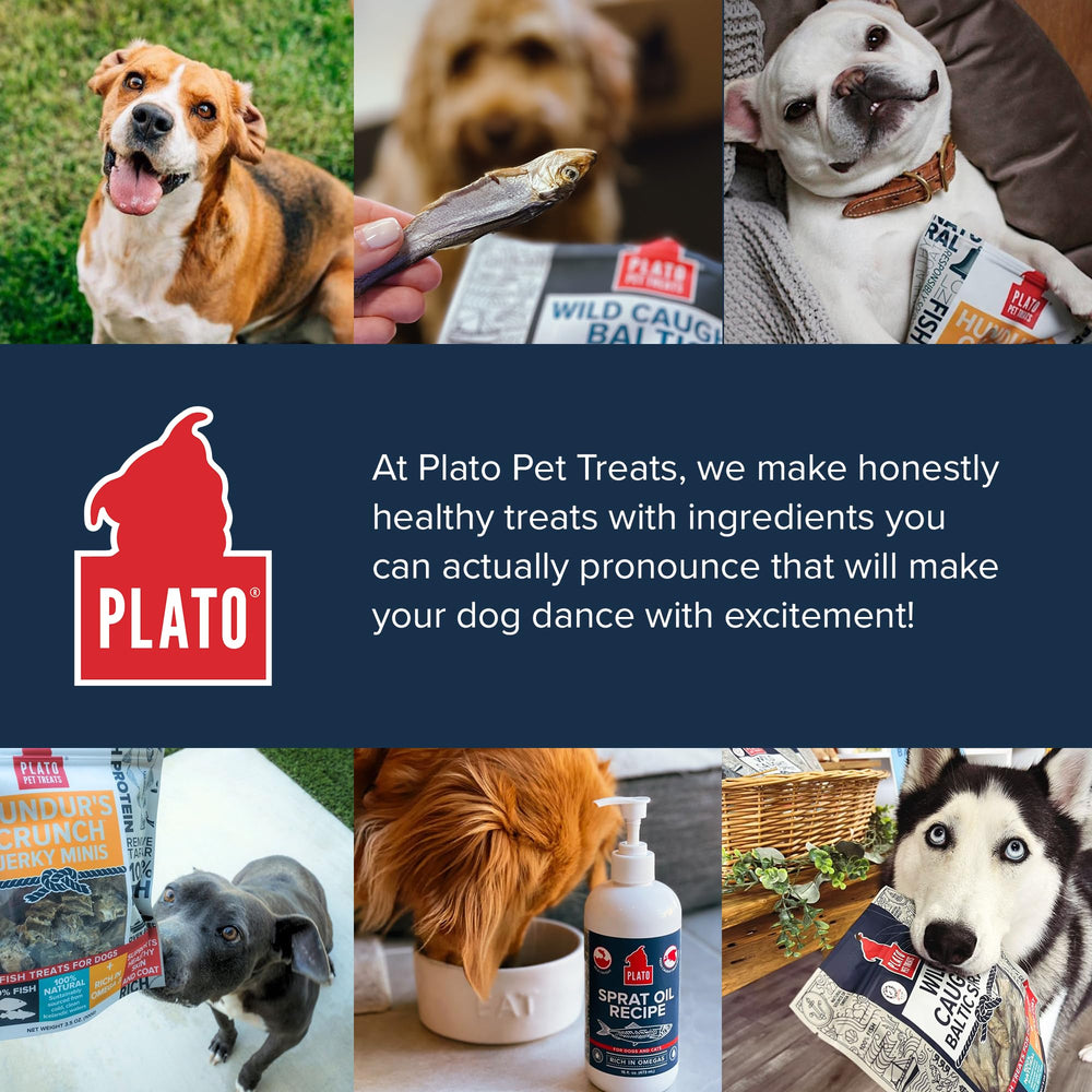 Plato storage-ready packs keep freshness in a cool place.