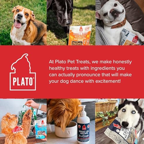 PLATO Thinkers storage guidance to keep treats fresh