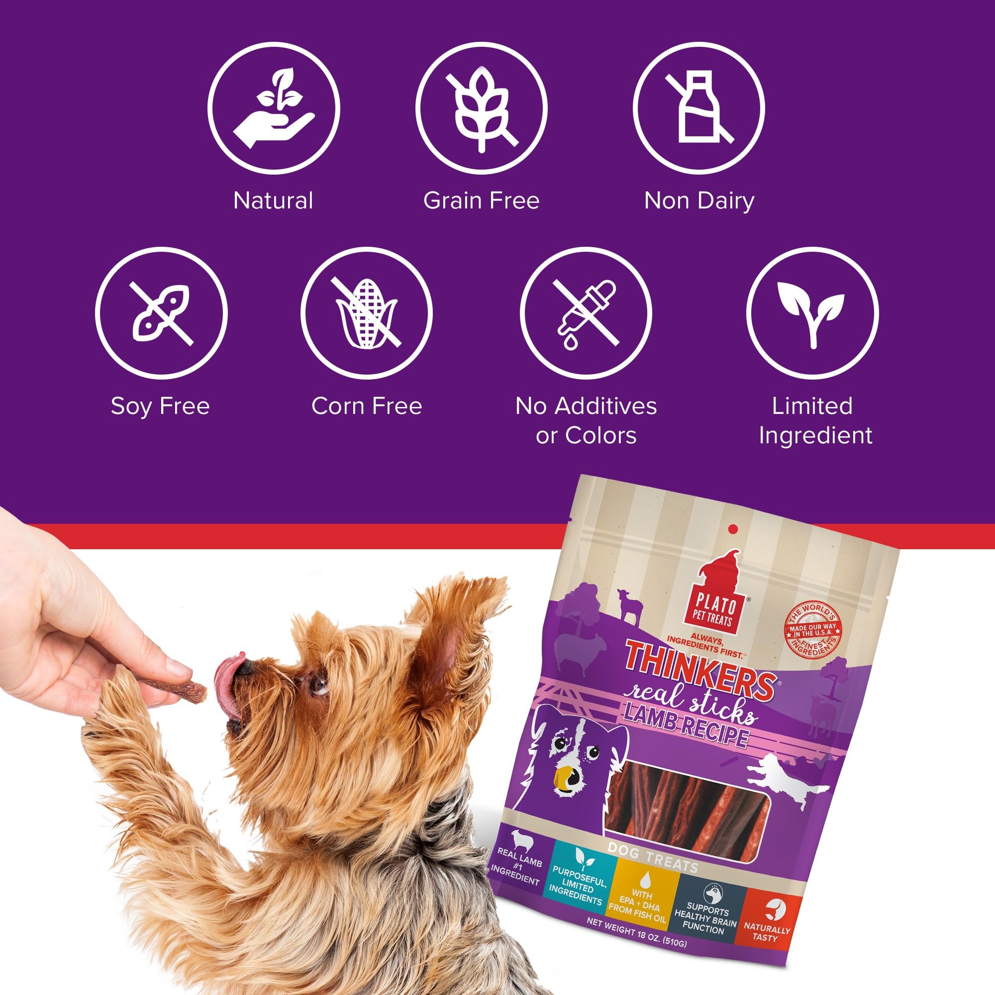 EPA and DHA brain support icon on PLATO Thinkers packaging.