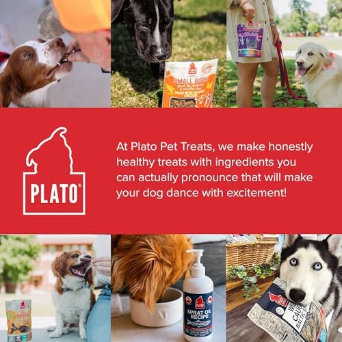 PLATO Thinkers natural dog chews in a resealable pack for freshness.
