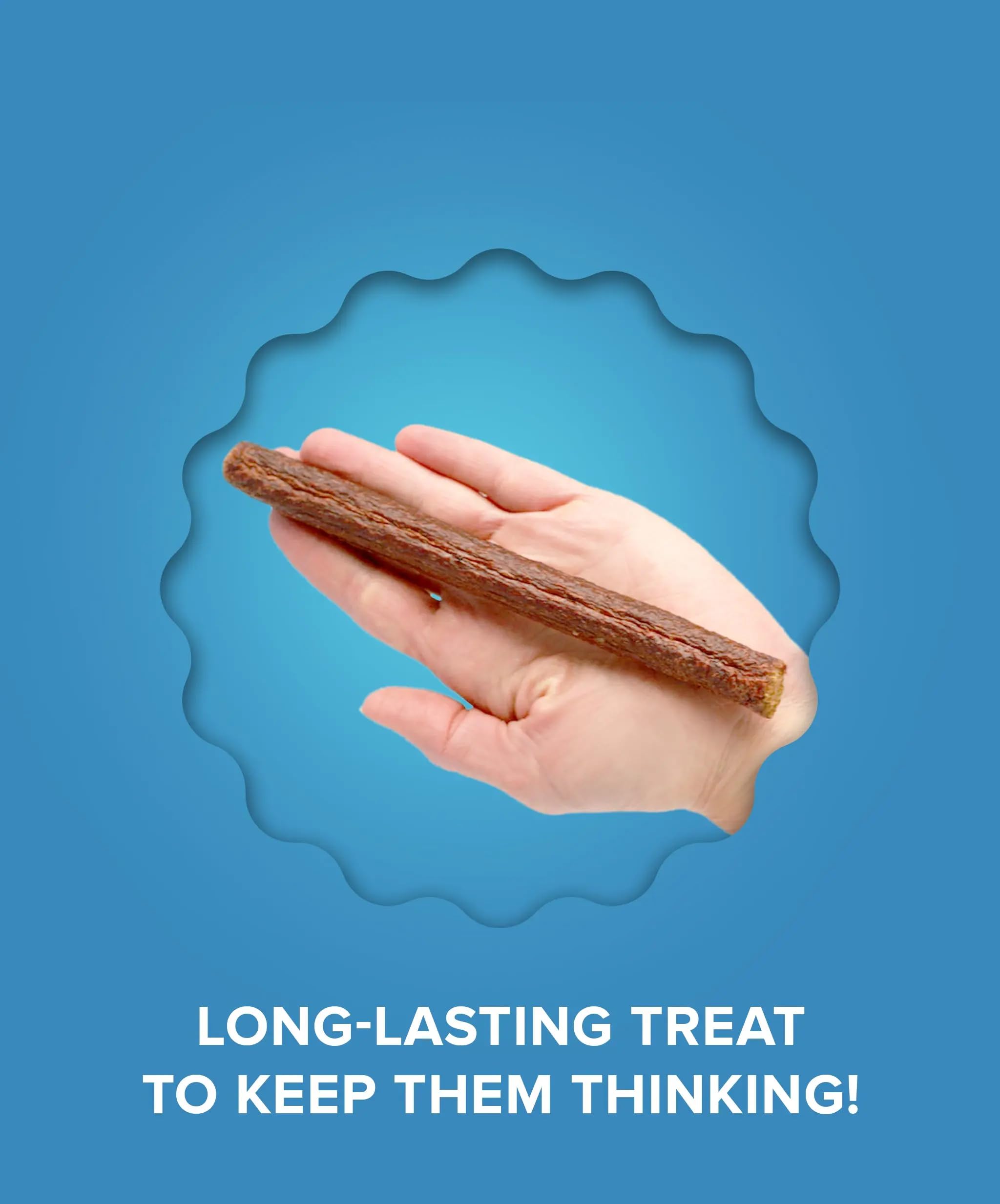 Omega-rich formula supports a shiny coat and healthier skin in dogs.