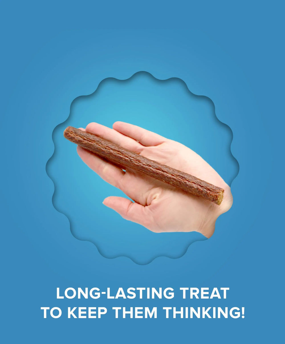 Omega-rich formula supports a shiny coat and healthier skin in dogs.
