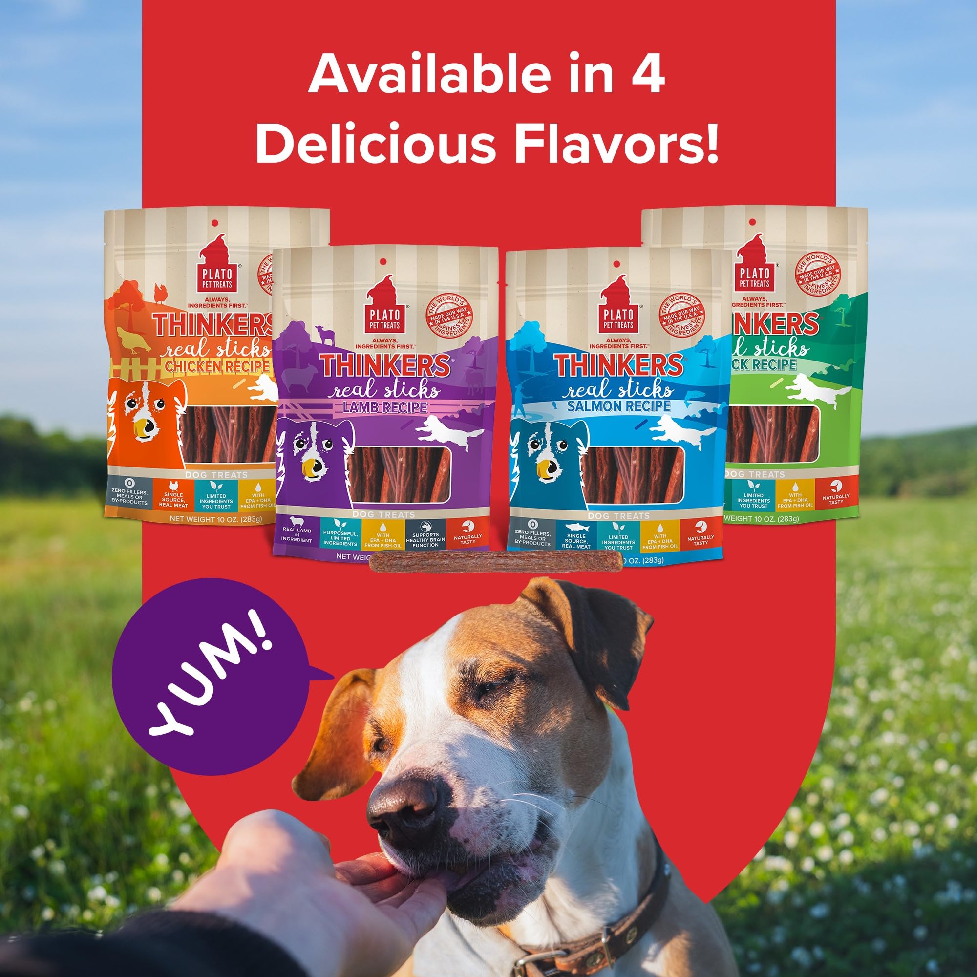 PLATO Thinkers variety pack featuring lamb, salmon, chicken, and duck flavors.