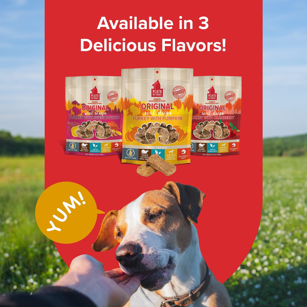 PLATO Real Strips serve as a training reward or whole-piece chew for dogs.