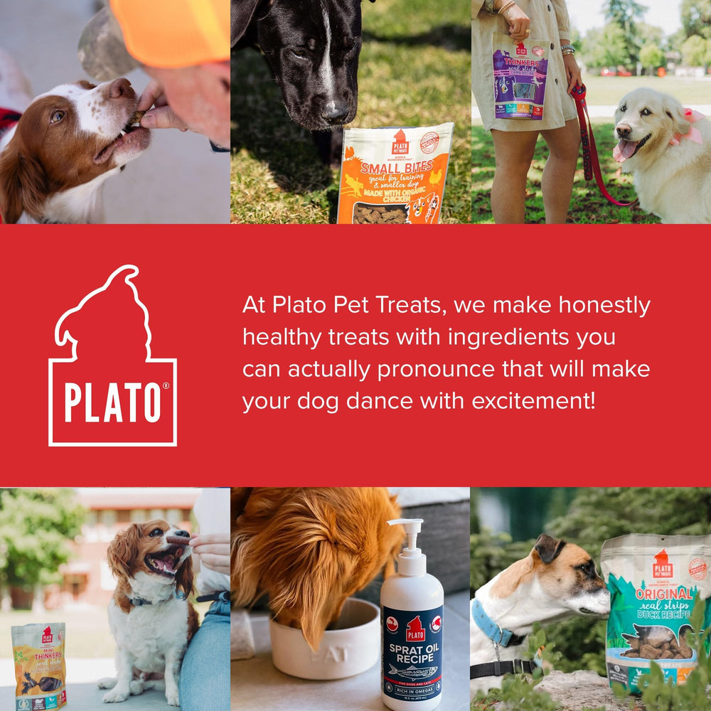 PLATO Real Strips offer other flavors like Turkey with Sweet Potato for variety.