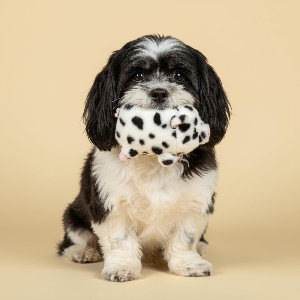 Playology bacon scent technology offers longer scent-driven engagement.