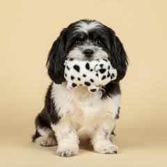 Playology bacon scent technology offers longer scent-driven engagement.