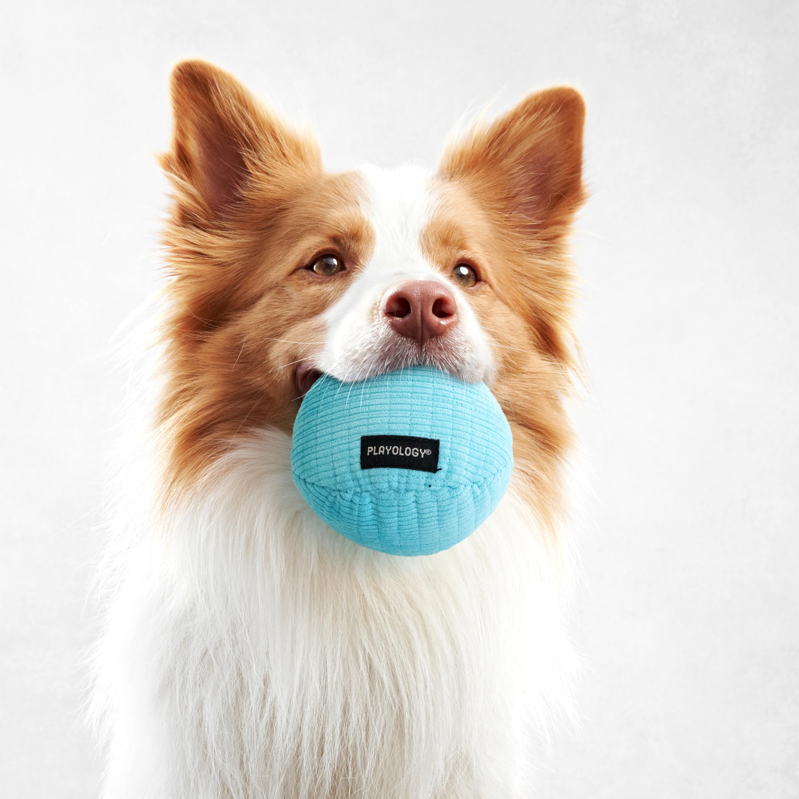 Playology diamond-quilted plush ball, durable design for lasting chew sessions.