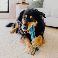 Playology grooved dog toy promotes gum massage and teeth cleaning during play