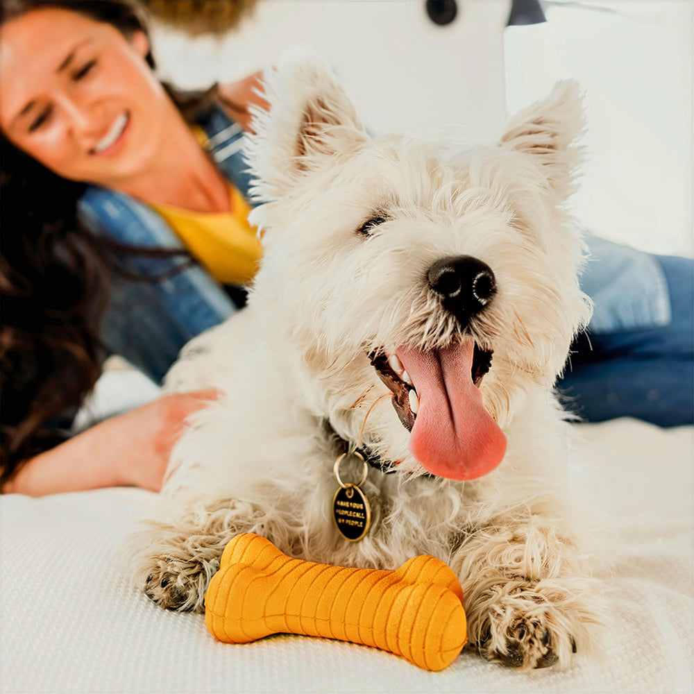Playology dual layer bone orange color ready for scent-driven play