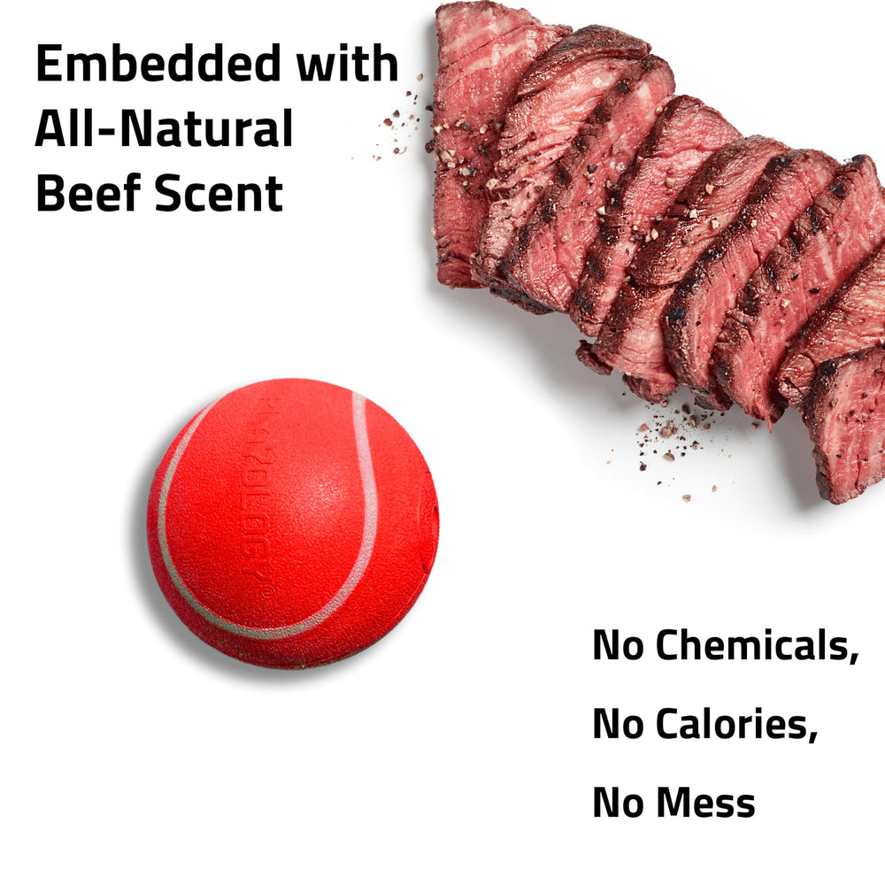 Playology Durable Rubber Ball stands up to indoor and outdoor chewing by strong chewers.