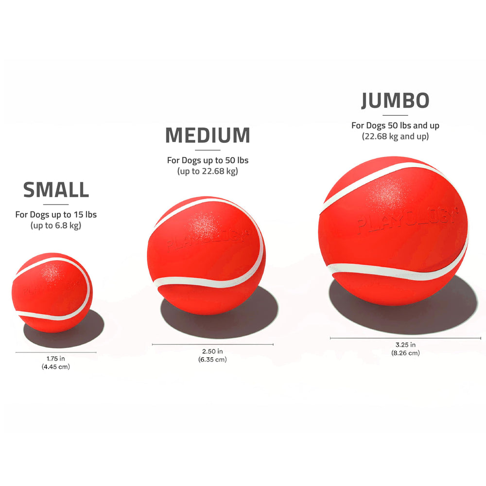 Playology Easy-to-clean Non-Toxic Toy cleans quickly to refresh scent between adventures.