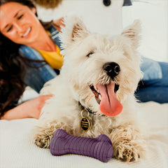 Playology Encapsiscent technology on a bone toy delivers long-lasting scent.
