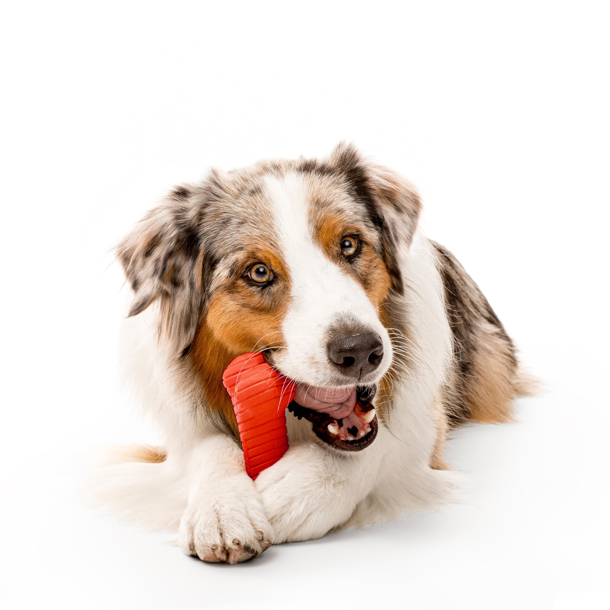 Encapsiscent long-lasting scent in Playology bone toy.