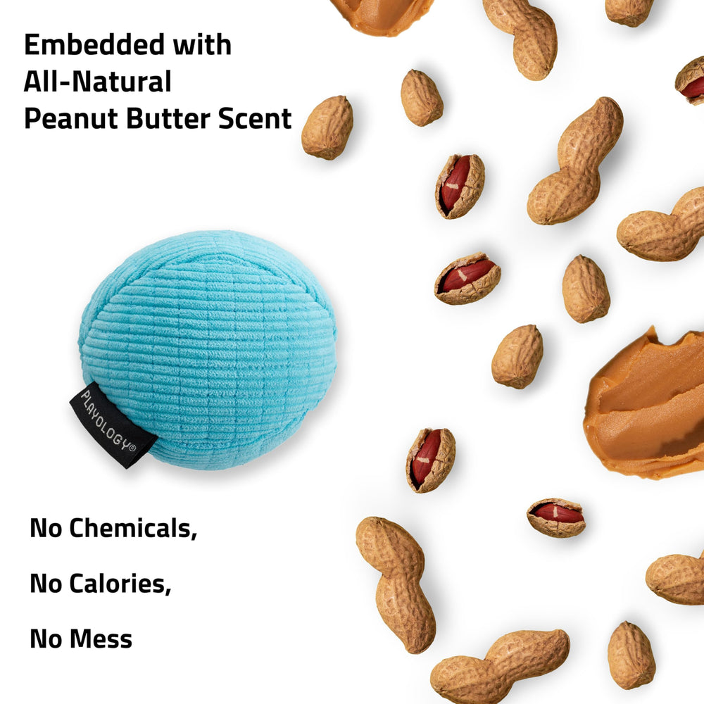 Playology Encapsiscent scent inside, inner view shows embedded aroma material.