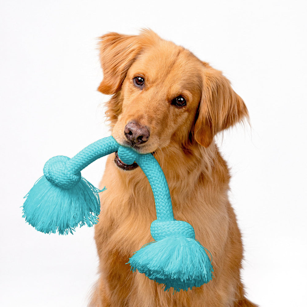 Playology Encapsiscent scent toy with embedded aroma for engaging chew time.
