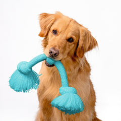 Playology Encapsiscent scent toy with embedded aroma for engaging chew time.