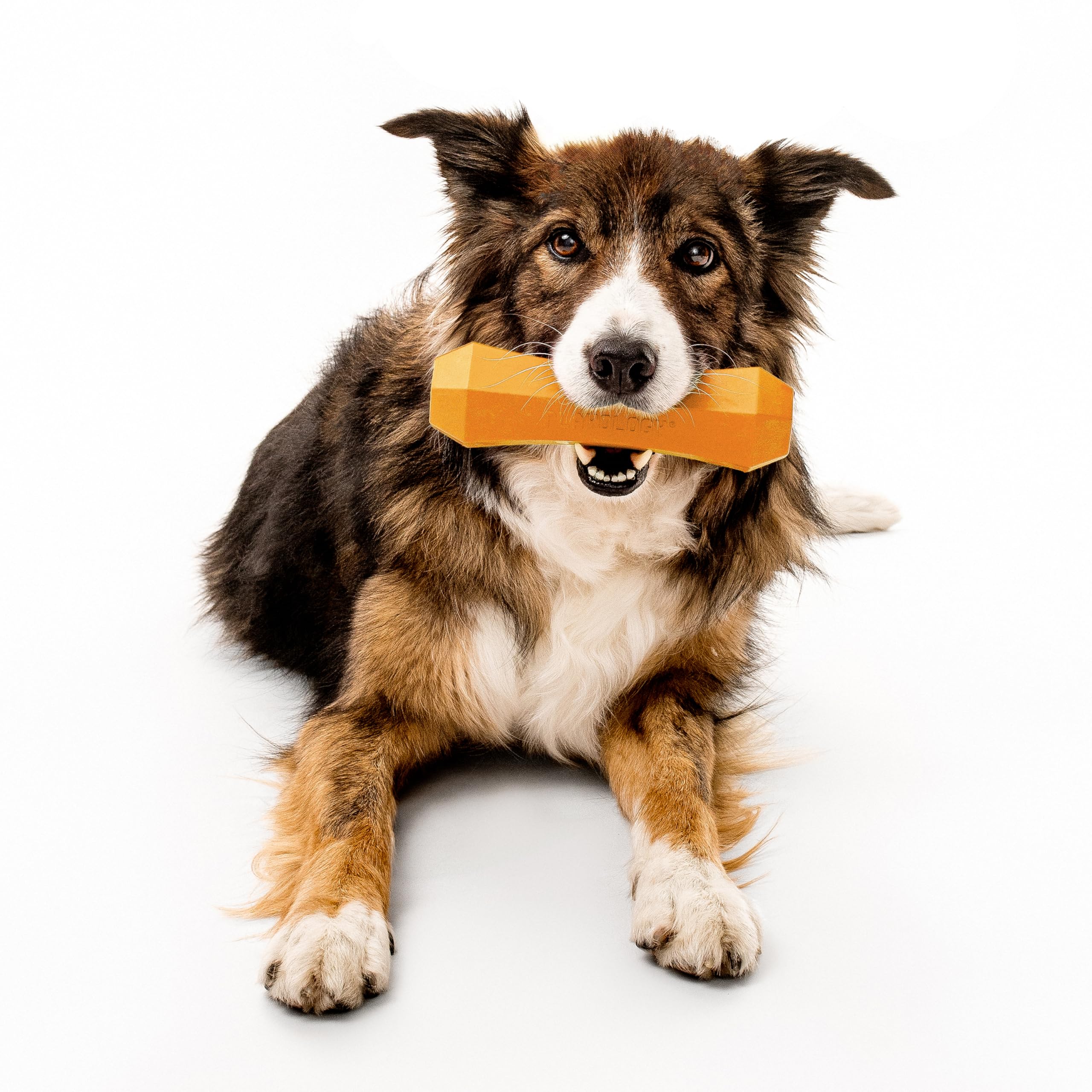 Playology Encapsiscent scent technology provides long lasting aroma during play