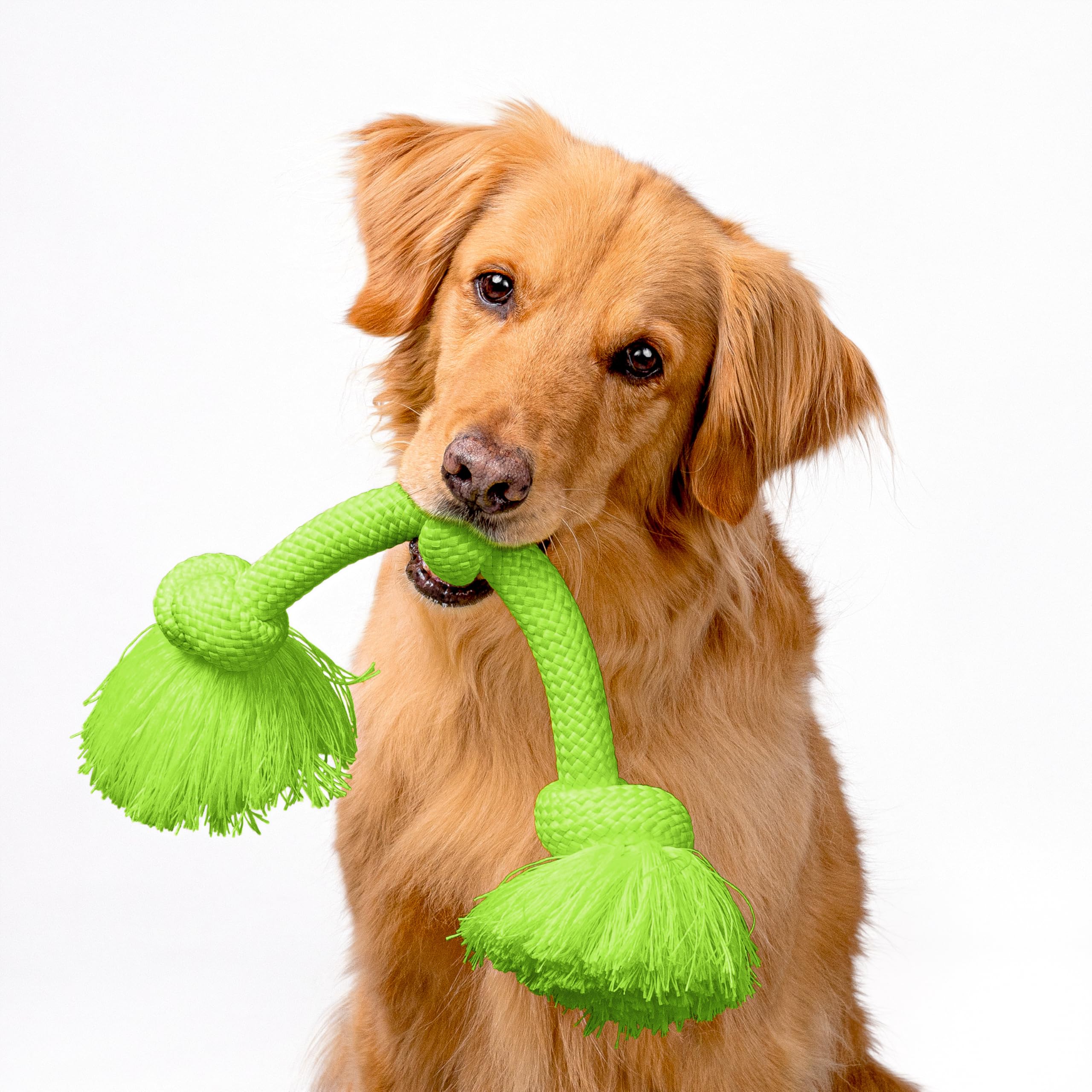Playology Encapsiscent sweet potato scent embedded for long-lasting aroma during play sessions.