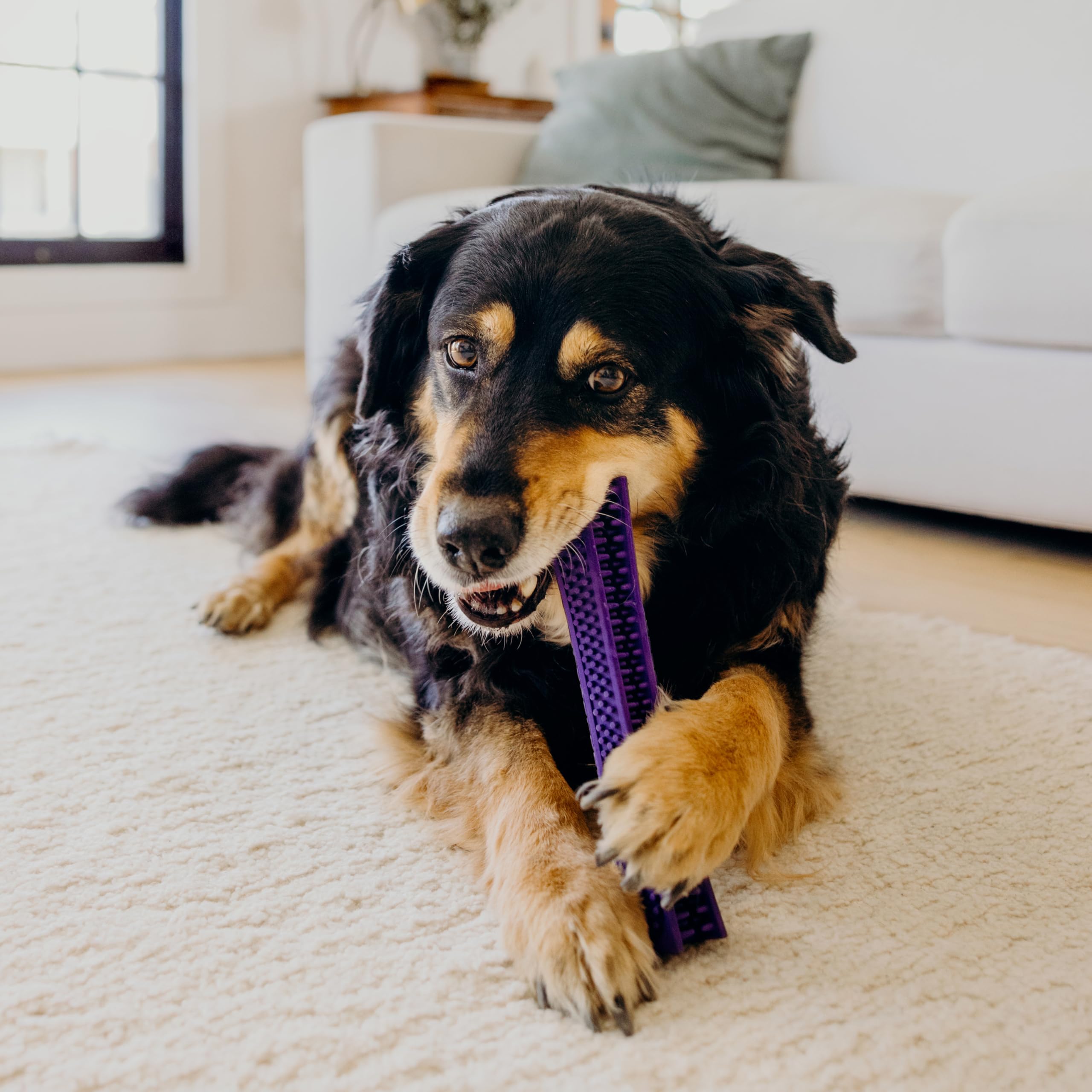 Playology encapsiscent technology toy releasing scent with each chew