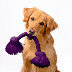 Playology Encapsiscent technology rope toy with bacon aroma during fetch and tug.