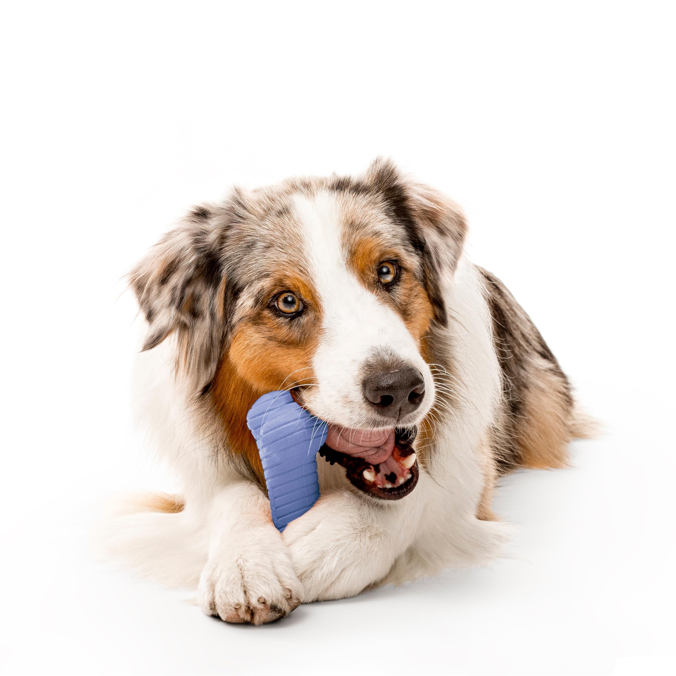 Playology Encapsiscent scented toy with long-lasting aroma.