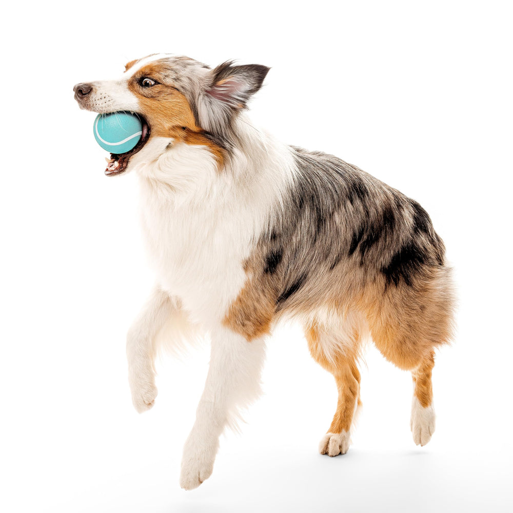 Playology Floating Chew Ball for water fetch in pools and lakes.