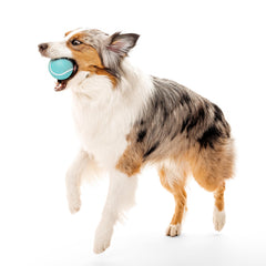 Playology Floating Chew Ball for water fetch in pools and lakes.