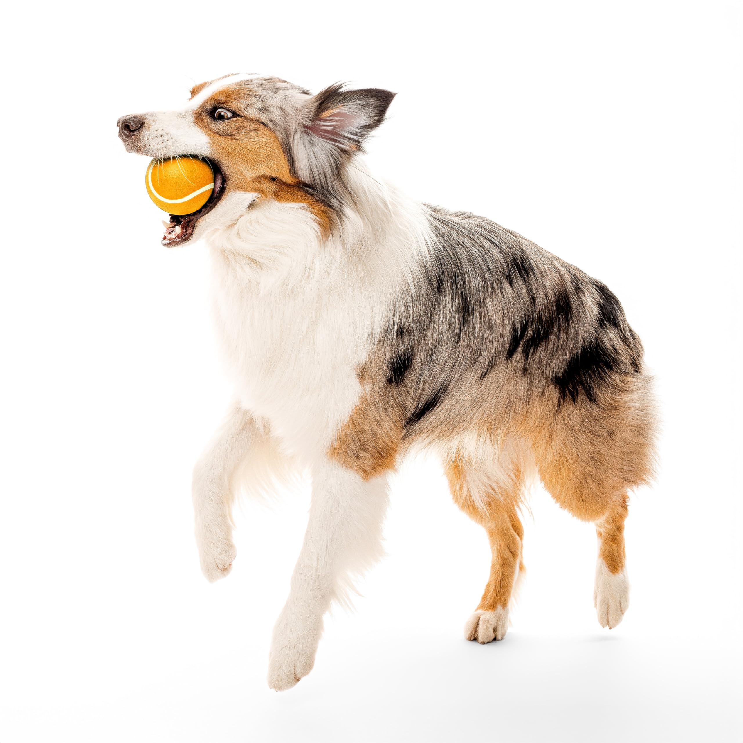 Playology floating dog ball designed for water fetch and pool days.