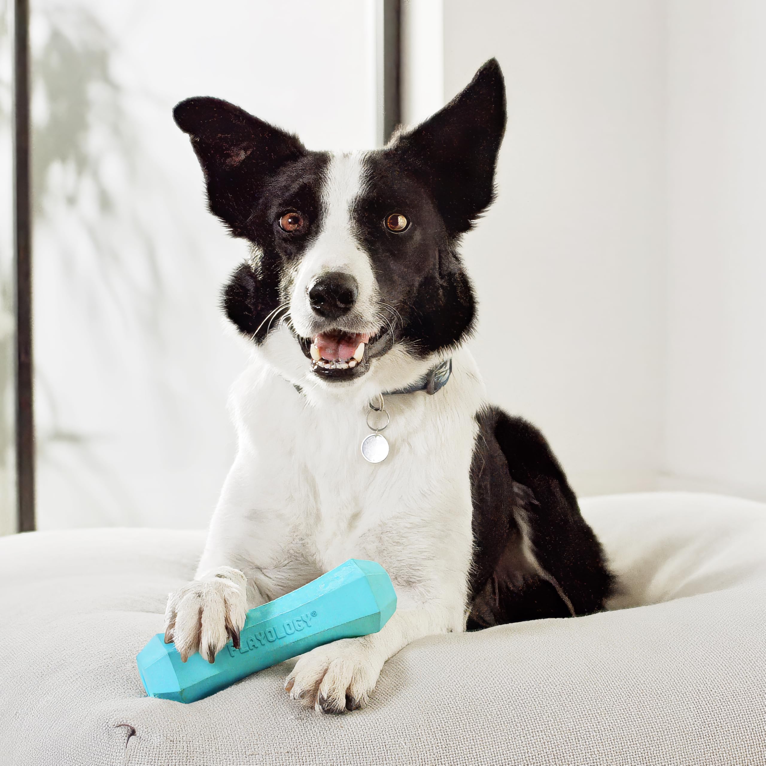 Playology Floating Dog Toy glides on water for splashy pool or lake play