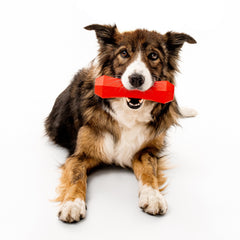 Floating fetch toy for water games that floats for easy retrieval.