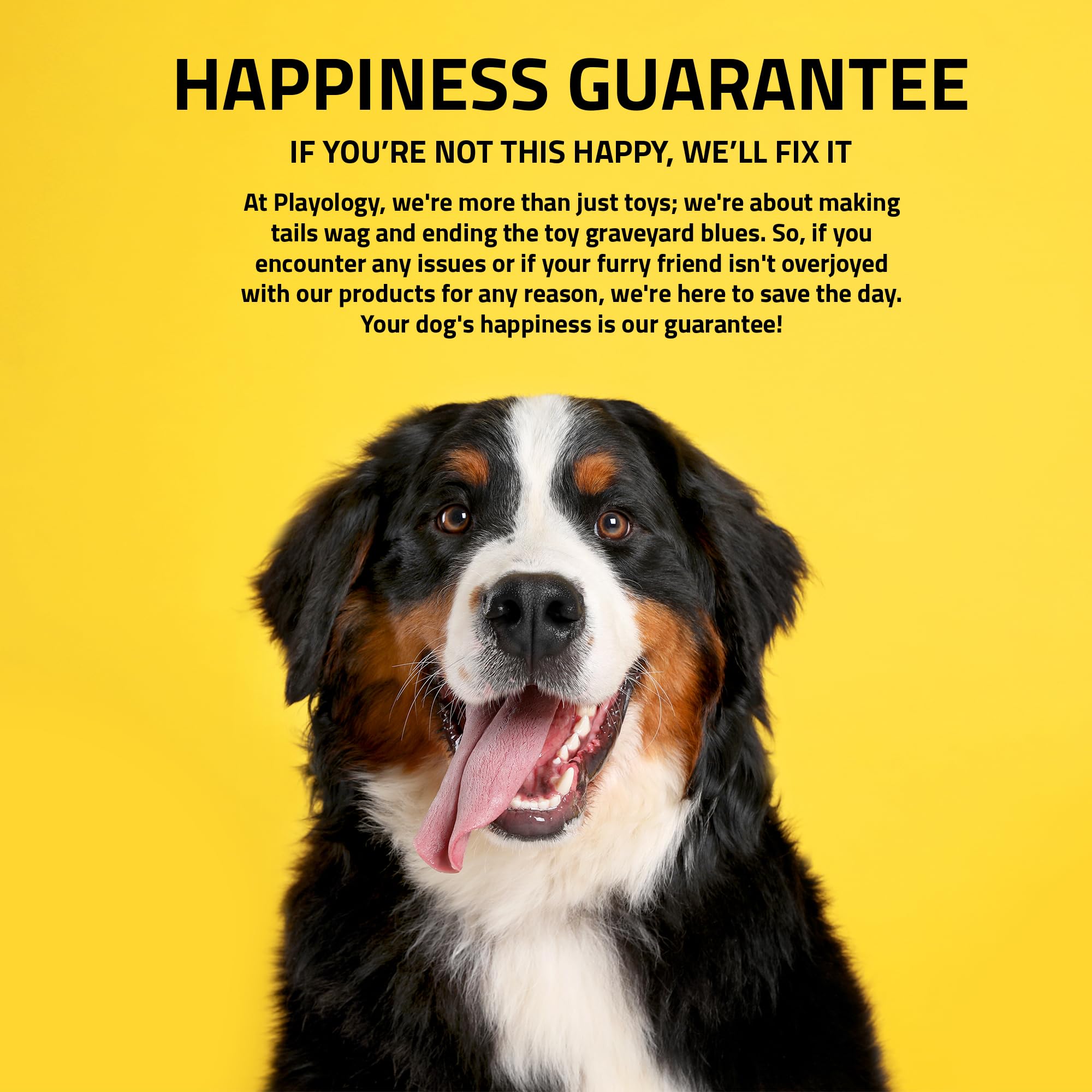 Playology happiness guarantee supports worry-free playtime for you and your dog.