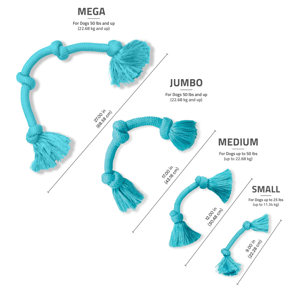 Indoor and outdoor tug action shows versatile play for medium dogs.