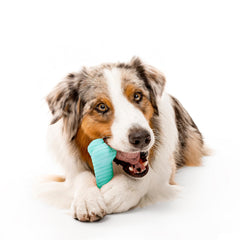 Playology large-dog toy designed for indoor and outdoor play and tough chewers.