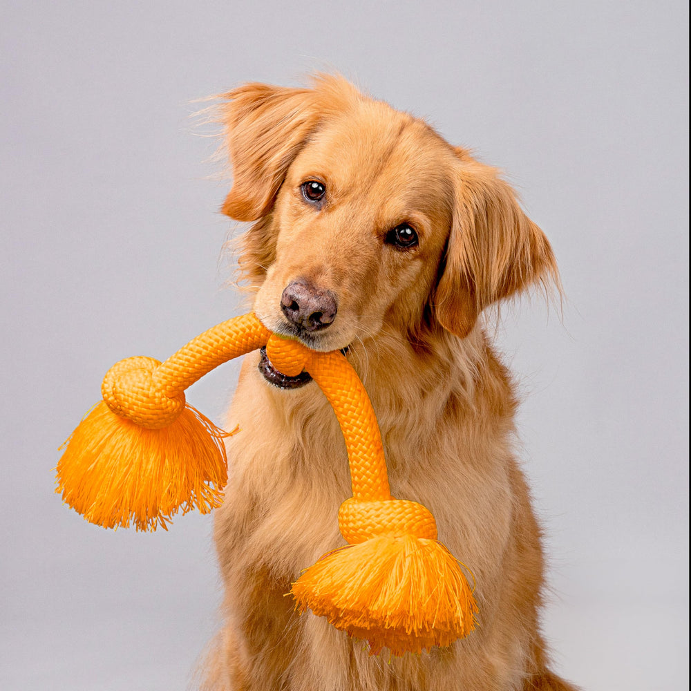 Jumbo rope designed for big breeds suitable for indoor and outdoor play