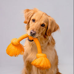 Jumbo rope designed for big breeds suitable for indoor and outdoor play