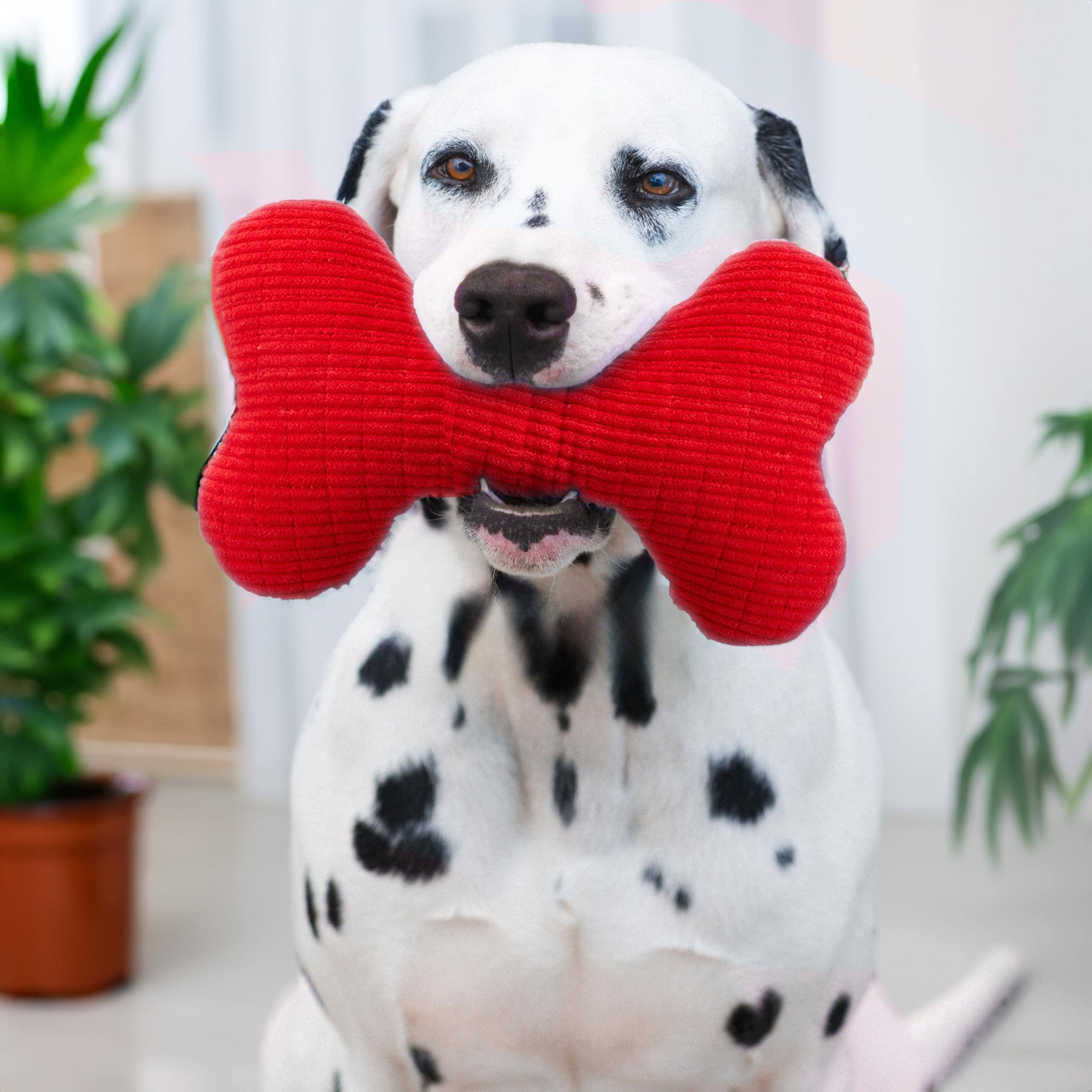 Playology jumbo-size dog toy for bigger breeds and extended chewing sessions.