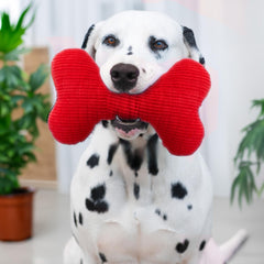 Playology jumbo-size dog toy for bigger breeds and extended chewing sessions.
