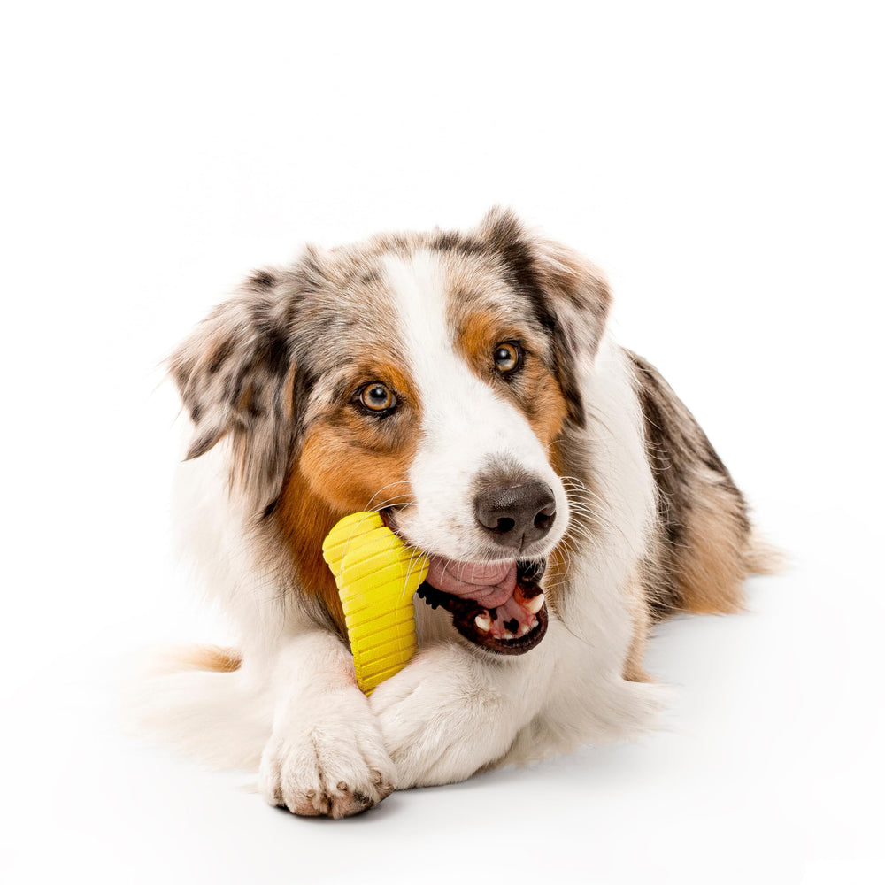 Playology large-dog chew toy in yellow—indoor and outdoor play