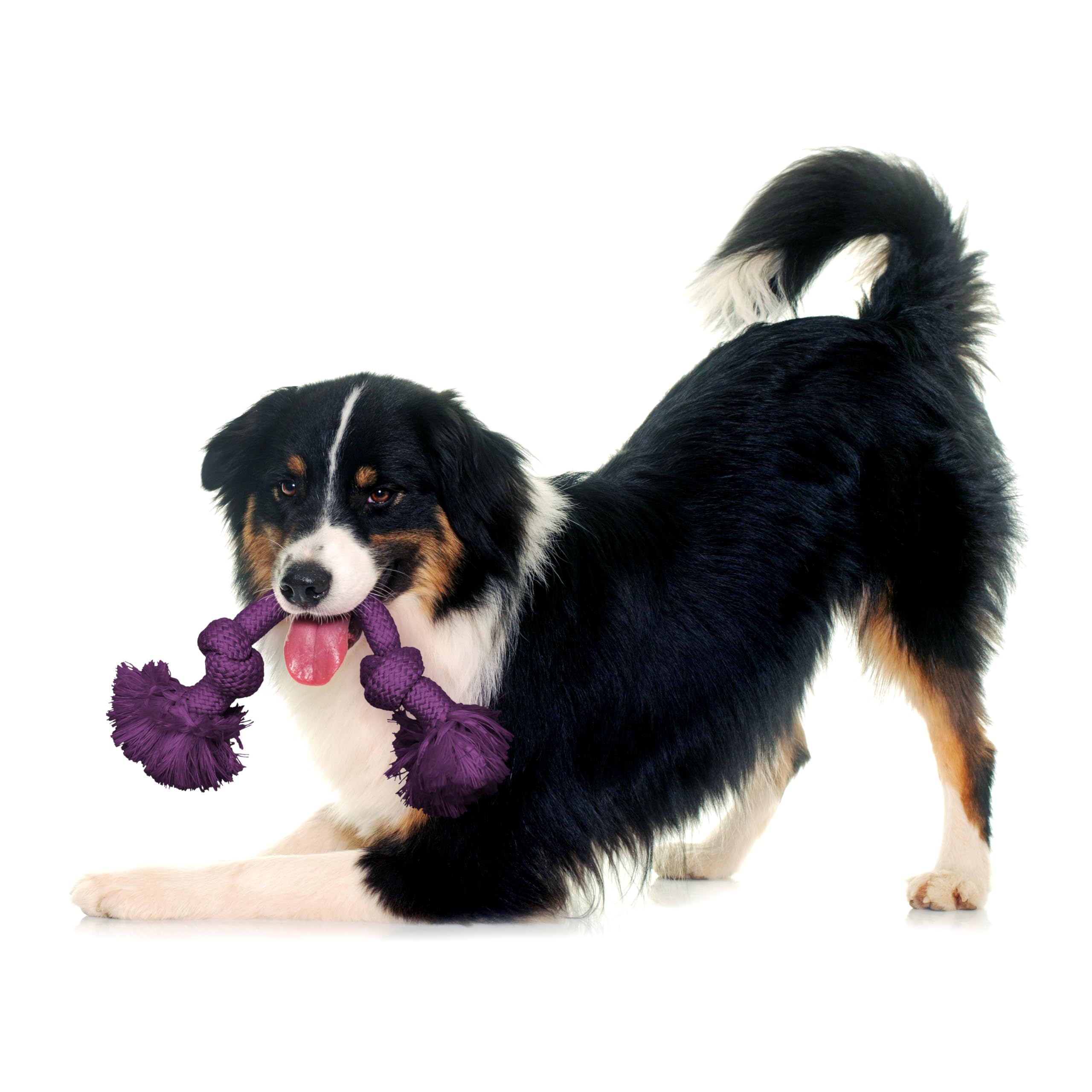 Playology Medium rope toy for dogs up to 50 lbs during fetch.