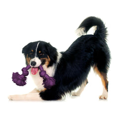 Playology Medium rope toy for dogs up to 50 lbs during fetch.
